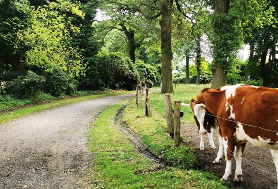 Twentse Heuvelen Tour Gravel