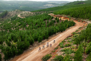Favourites to Watch at the 2026 UCI Gravel World Championships in Australia