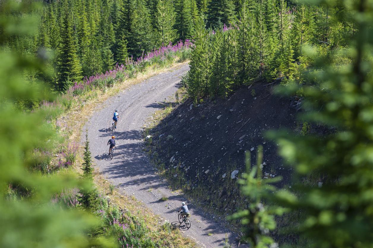 TransRockies Gravel Royale