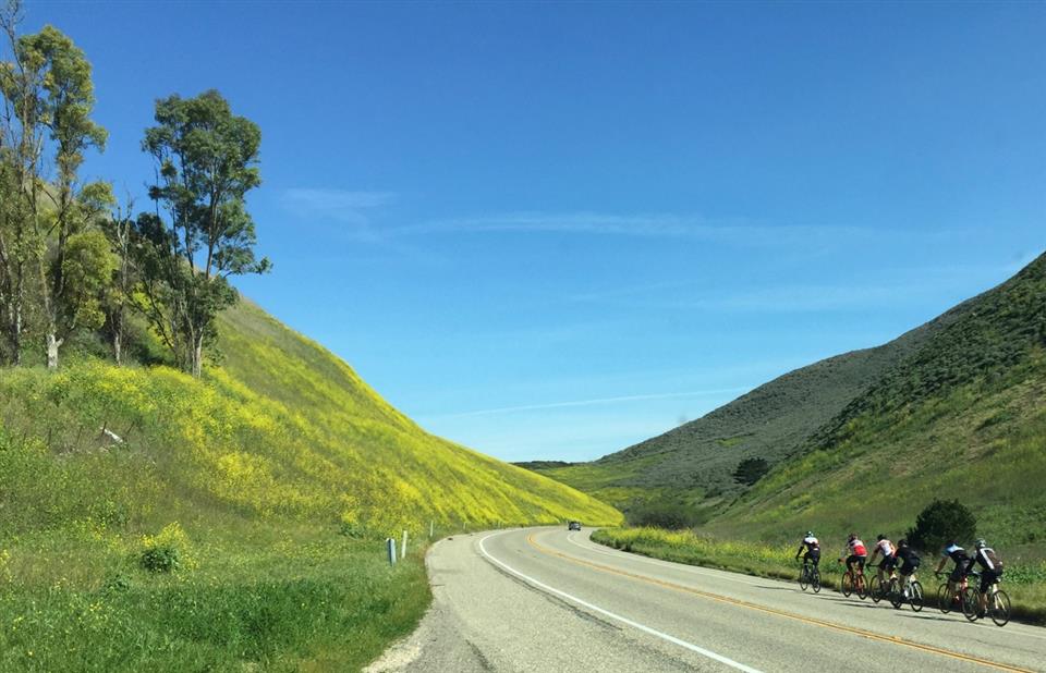 Solvang Spring Double