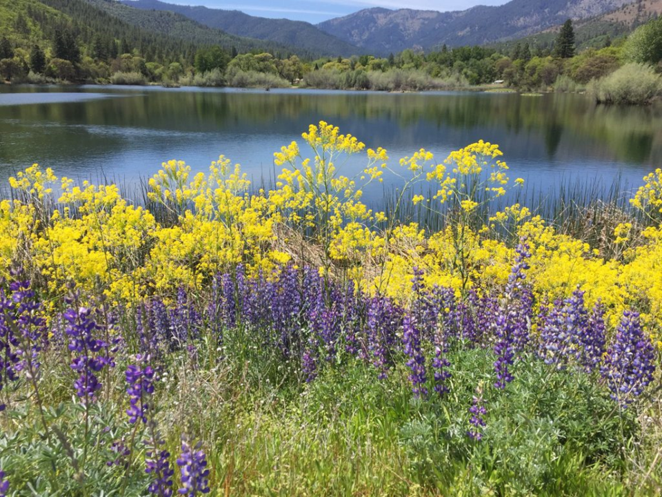 Come and experience the Siskiyou County in all its glory this May 4, 2019