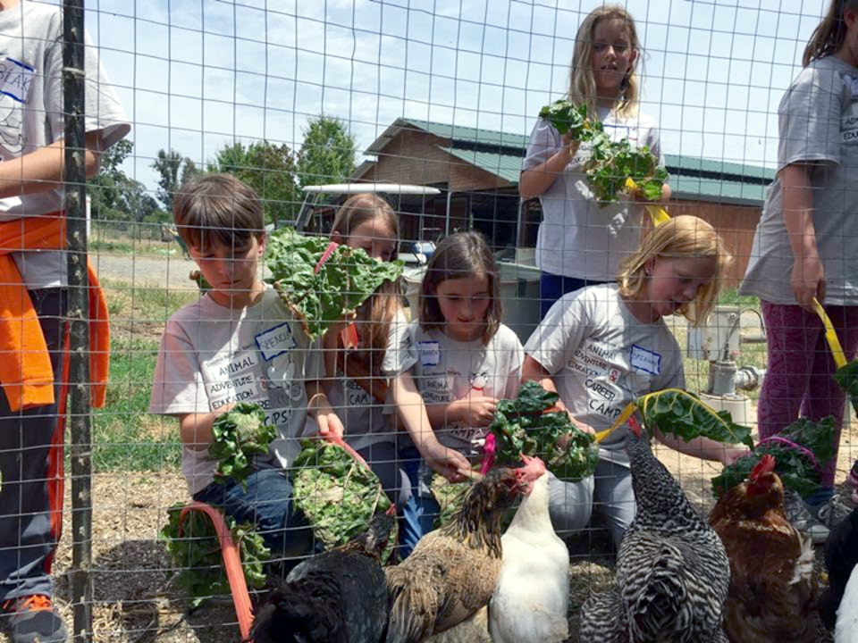 The Forget Me Not Farm, a therapeutic working farm with rescued animals that provide at-risk kids the chance to care for them