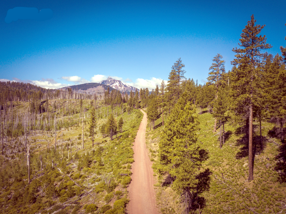 Oregon Trail Gravel Grinder