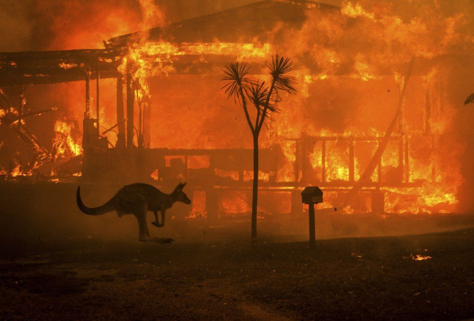 Australia's Gran Fondo Championships contribute to Bushfire Disaster Fund