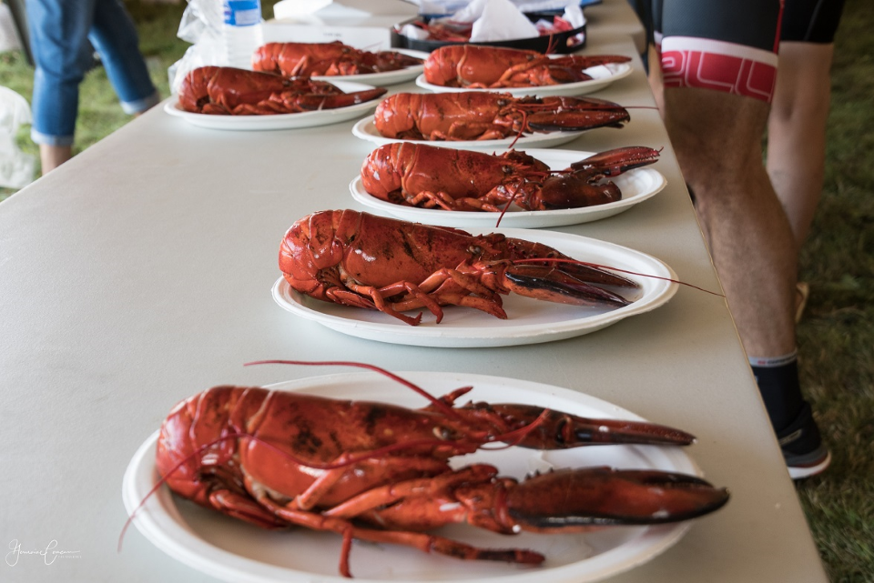After your unforgettable ride, share stories while savouring on fresh lobster