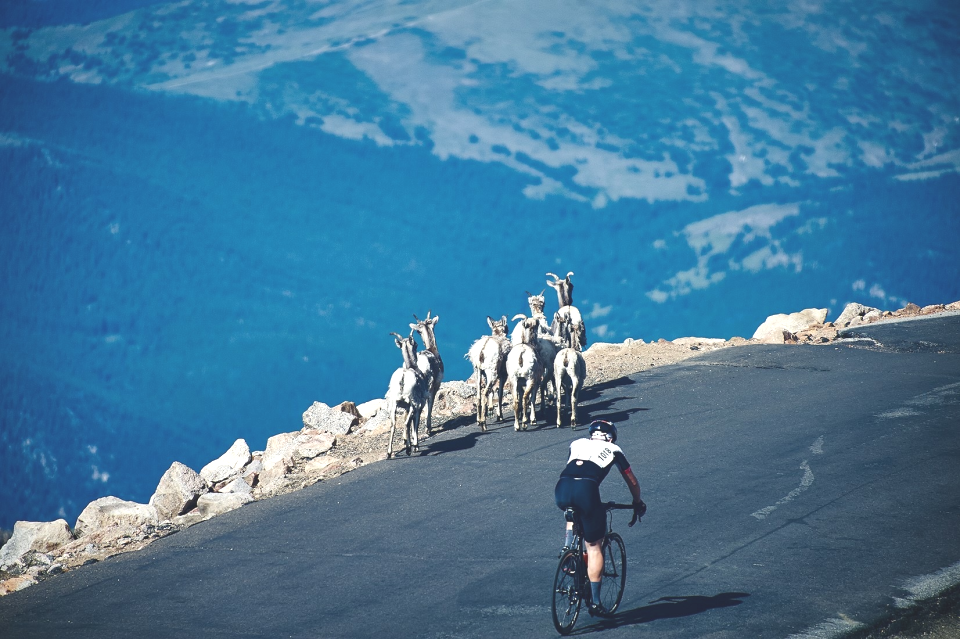 The Bob Cook Memorial Mt. Evans Hill climb is an iconic bicycle race that takes place on the highest paved road in the United States