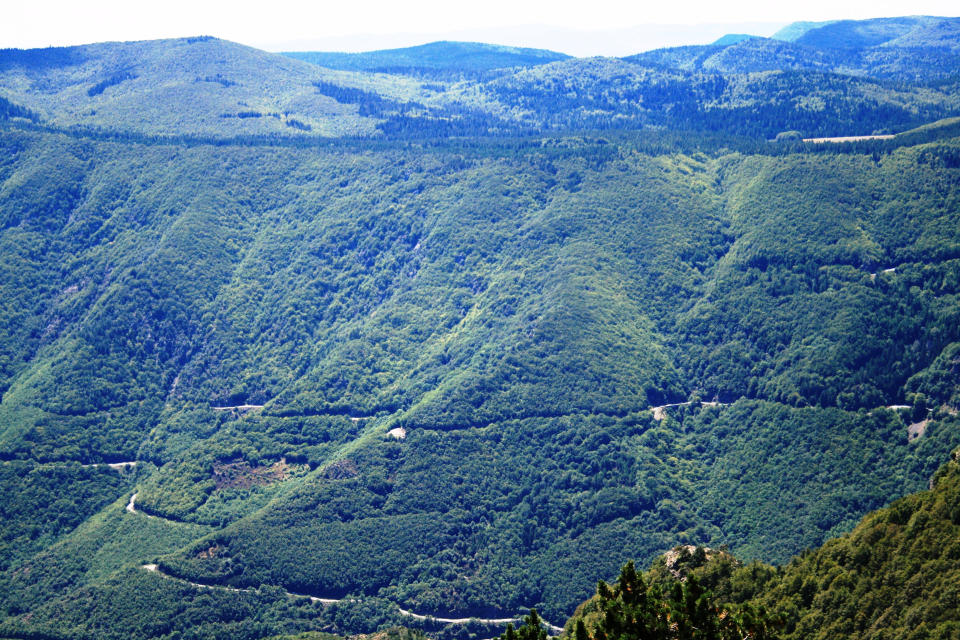 Stage 6 to Mont Aigoual