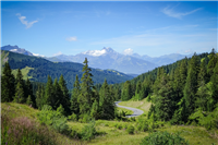 UCI Gran Fondo Suisse