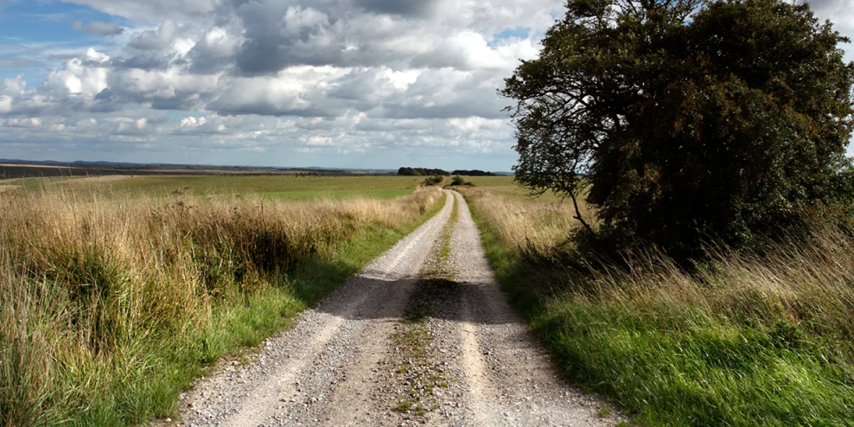 Glorious Salisbury Plain Spring Gravel Epic