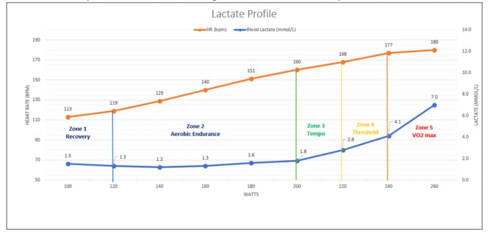 A visual representation of how training zones relate to lactate response
