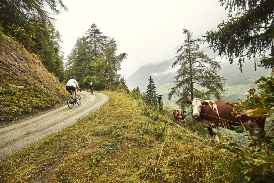 Riders will experience a real variety of tracks from speedy farm tracks and short sections of rideable single track thanks to ancient beautiful bisse paths