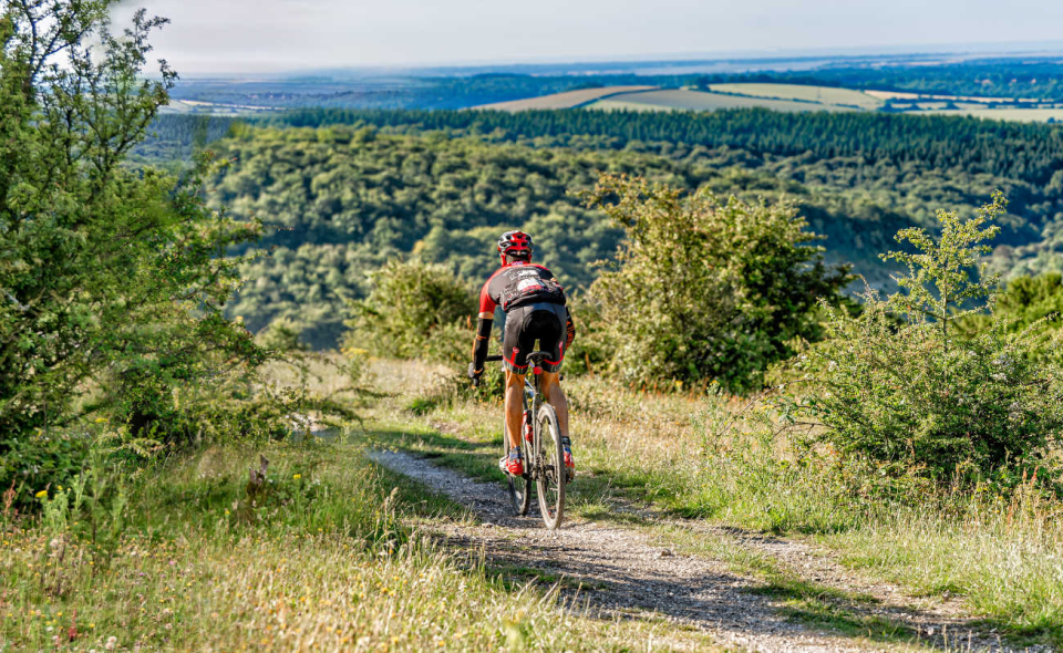 Wiltshire Wildheart Gravel