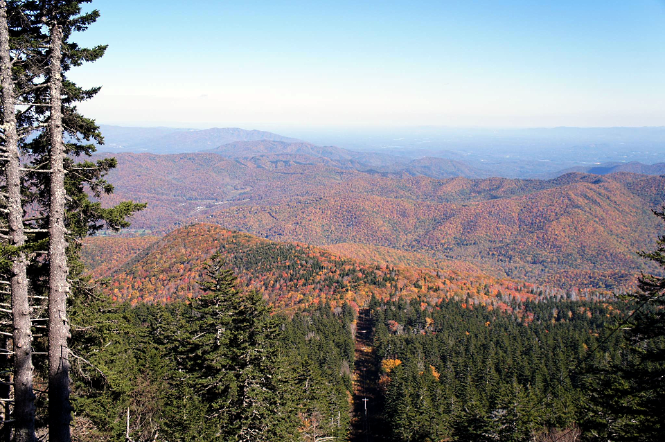 View from Mount Mitchell in the Autumn