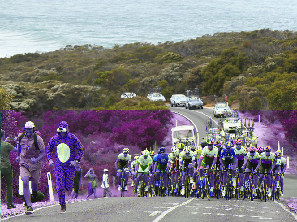 2024 Cadel Evans Great Ocean Road Race