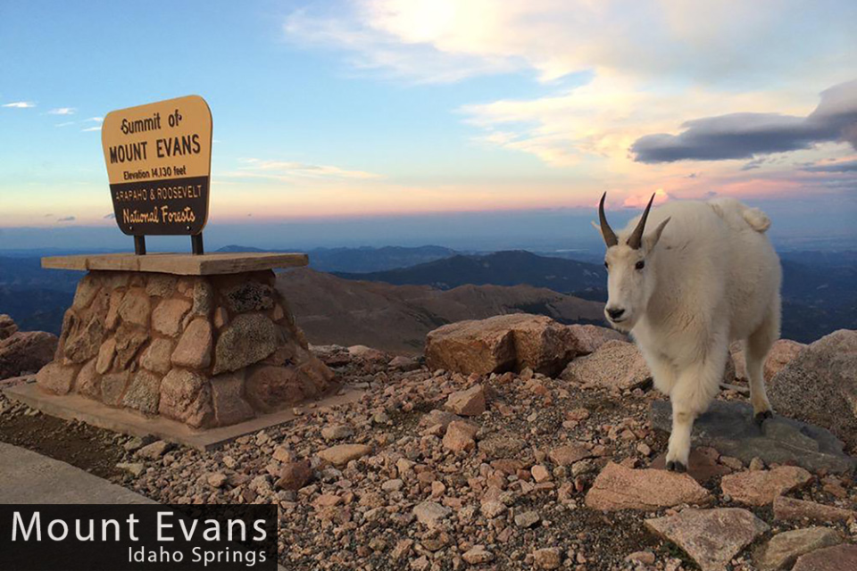 Taming the mighty 14,130ft / 4,307m high Mount Evans