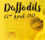 The Daffodils Sportive