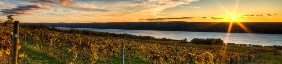 In two weeks time Farm to Fork Fondo moves to Finger Lakes on August 9-10, 2019 at the Atwater Estate Vineyards, Burdett, NY