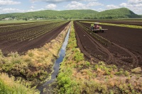 Farm to Fork Fondo - Hudson Valley: image 1 of 4 thumb