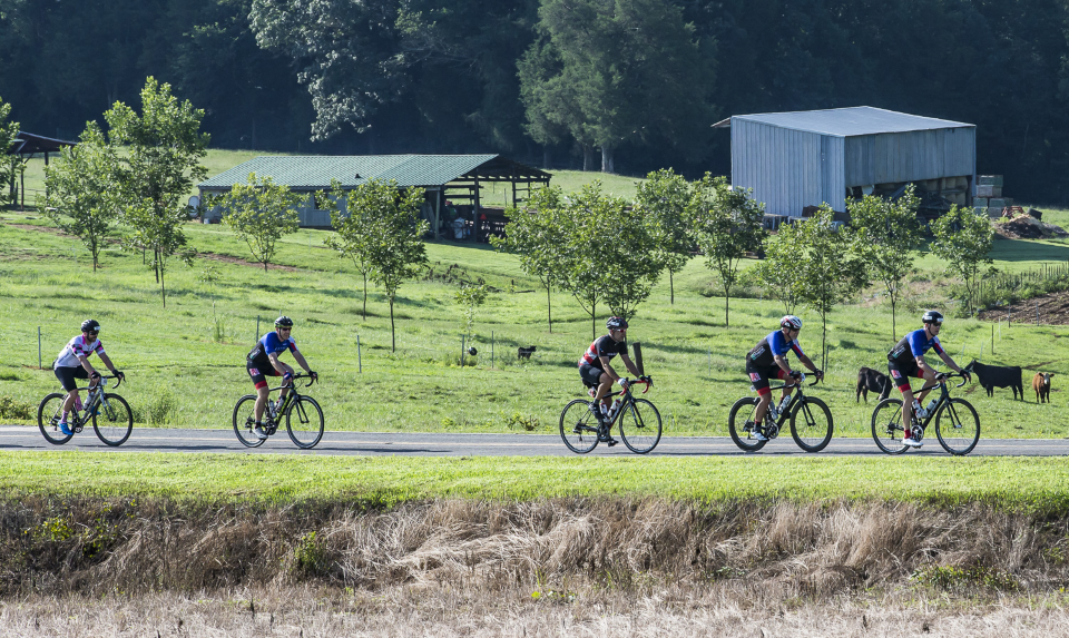 For experienced riders the Gran Fondo will be a true climbing challenge on quiet roads.