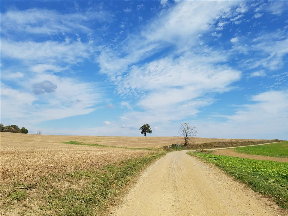 Piggy Road Gravel Ride, November 4 2018, Florennes Belgium