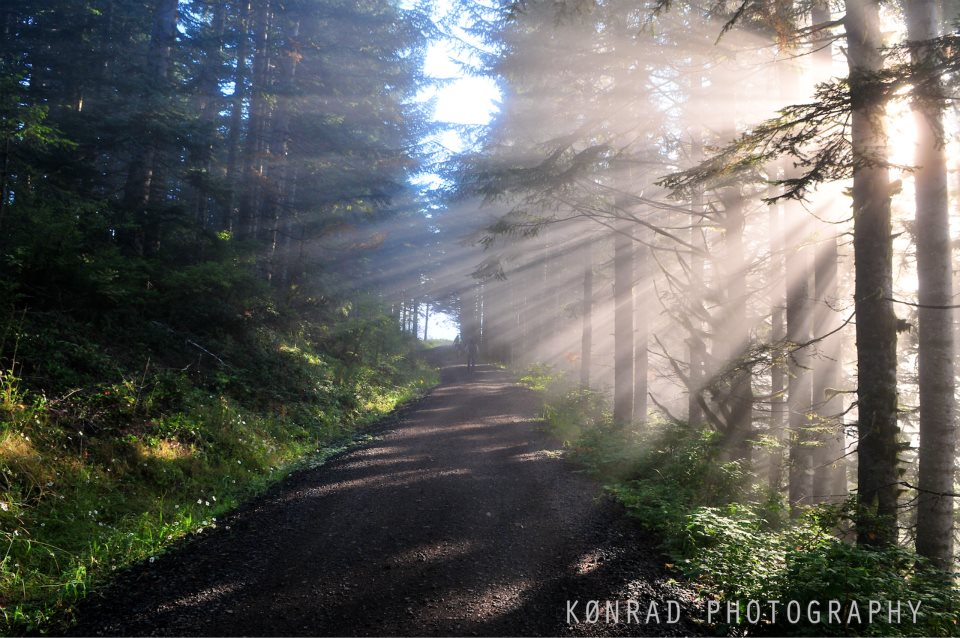 2017 Bon Jon Pass Out