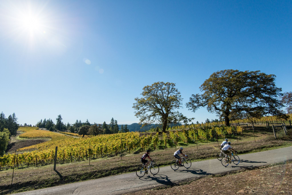 Levi Leipheimers King Ridge Gran Fondo