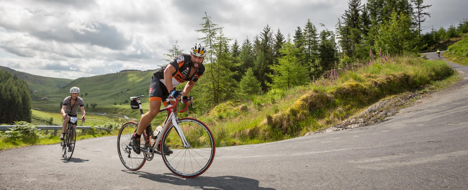 The 2017 Monster Sportive