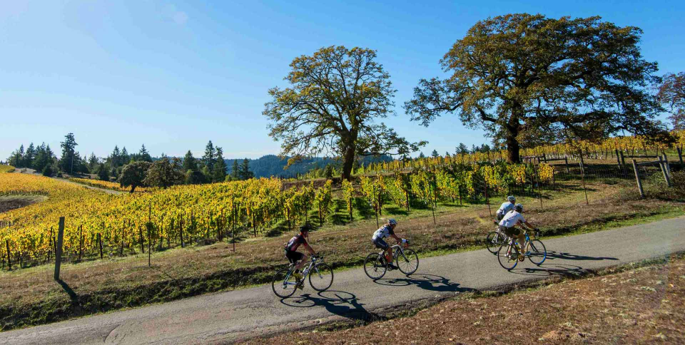 The event is a grueling bike ride over nine hill climbs and mountains across Napa Valley - 125 miles, 13, 500 feet of climbing, in the top 30 toughest bike rides in the USA. 