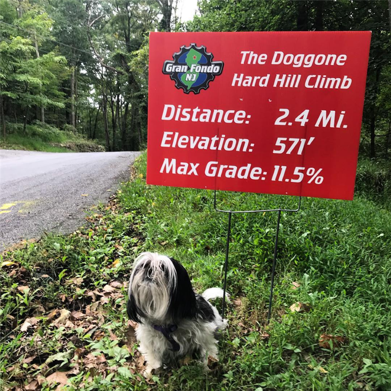 Photo: Doggone Hard Hill, one of the timed climbs on route