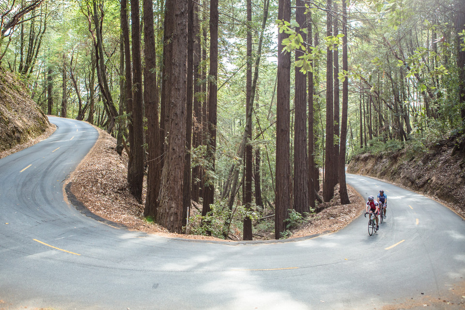 Old La Honda Road climbs up out of Palo Alto, to the ridge west of Silicon Valley