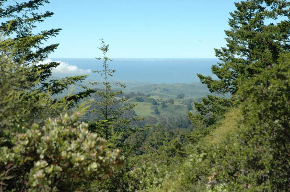 You’ll be rewarded with stunning views down to the valley below at El Corte de Madera Creek Preserve whilst enjoying the well placed first feed station after 28 miles.