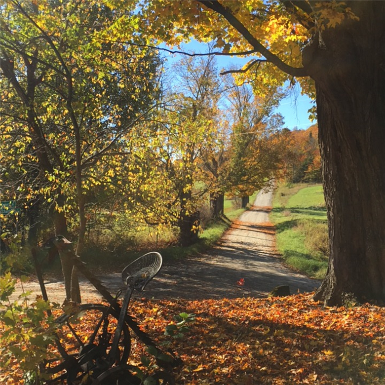 Riders will experience the stunning Vermont fall foliage, scenic views of vibrant mountains studded with iconic barns and farmland, 50+ miles of gravel riding.