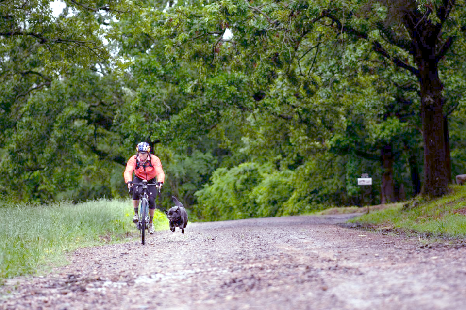 17 "doggie encounters" didn't deter the seven-time world champion from her reaching her goal. Photo Credit: Corey Rich