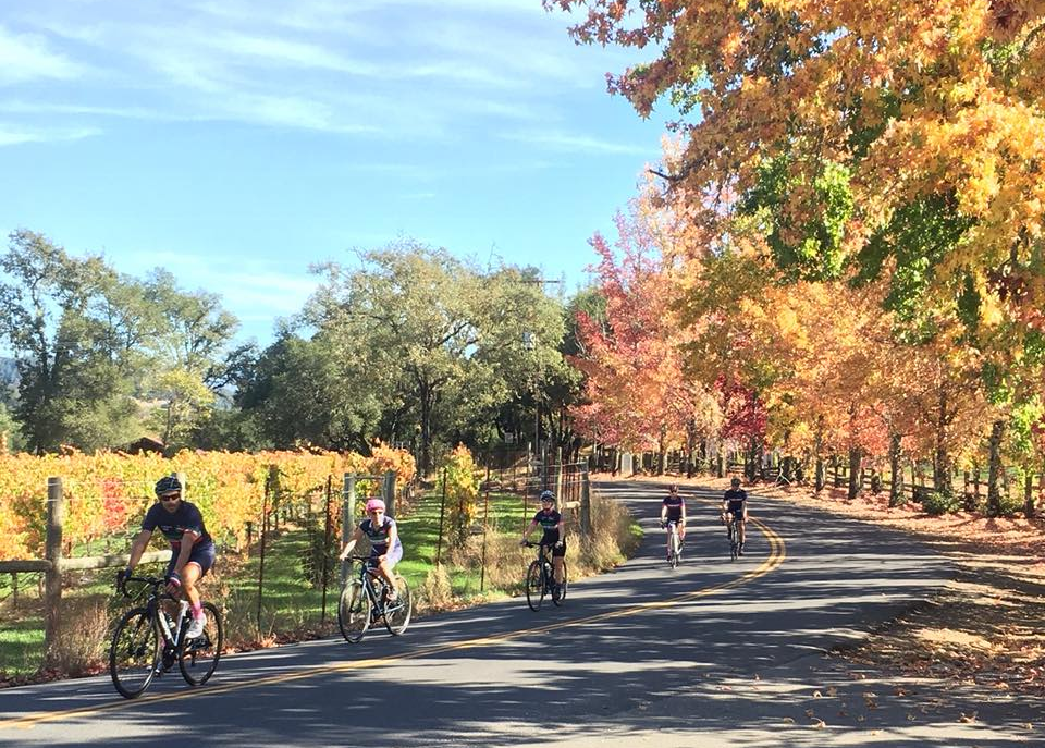 The Town of Windsor is located in the heart of Sonoma County, California, 60 miles north of San Francisco