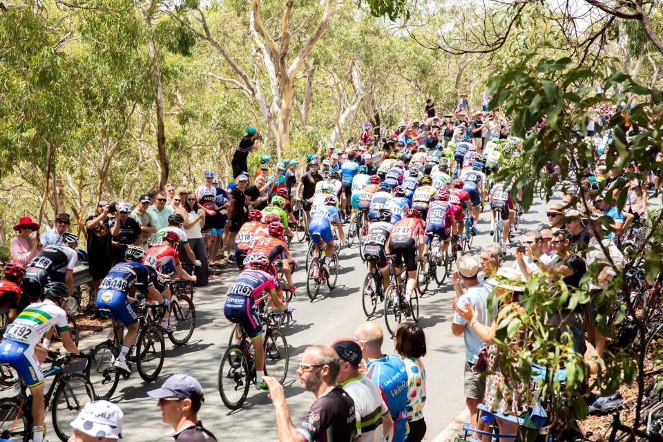 2017 Santos Tour Down Under