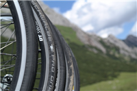 Schwalbe Pro One - The next Generation of Tubeless Tires