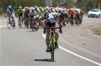 Tour of the Gila Celebrates 30th Edition with Premier UCI Professional Teams