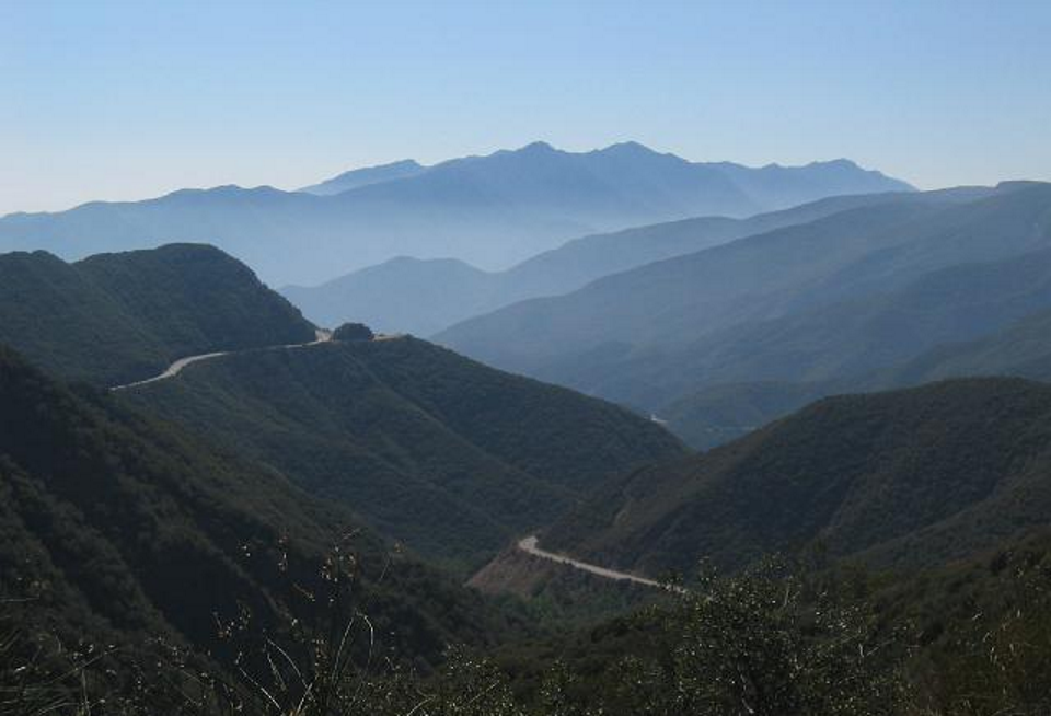 Tour of Two Forests Double Century