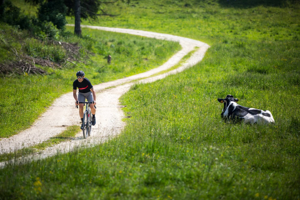 Veneto Gravel