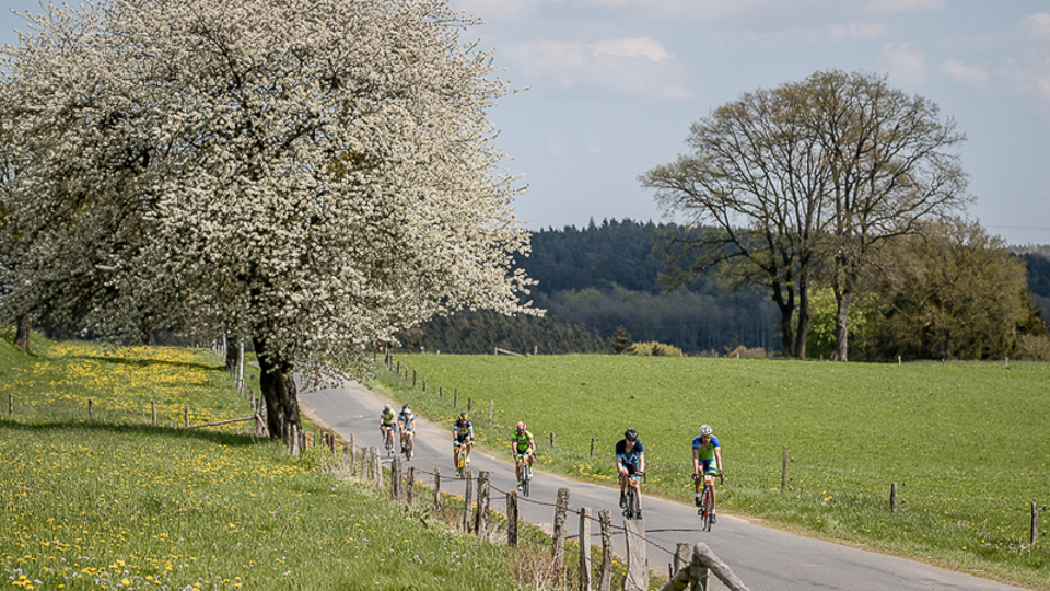 Flèche de Wallonie