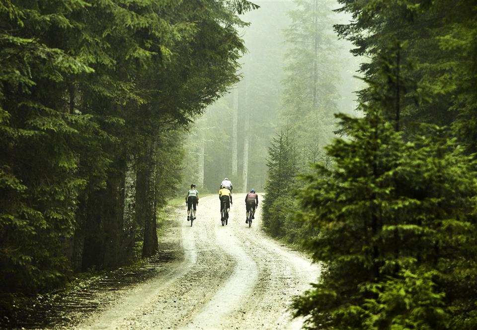 Human Fish Gravel Race