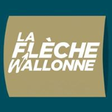 2017 2017 La Fleche Wallonne
