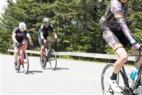 Register Now for The 2017 Assaults - The Southeast’s Premiere Cycling Event, May 15, 2017