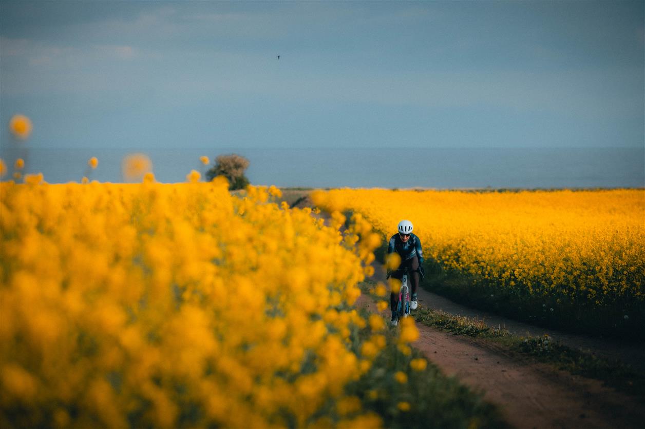 Gravelking Gravel Camp Halmstad